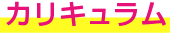 カリキュラム