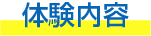 体験内容